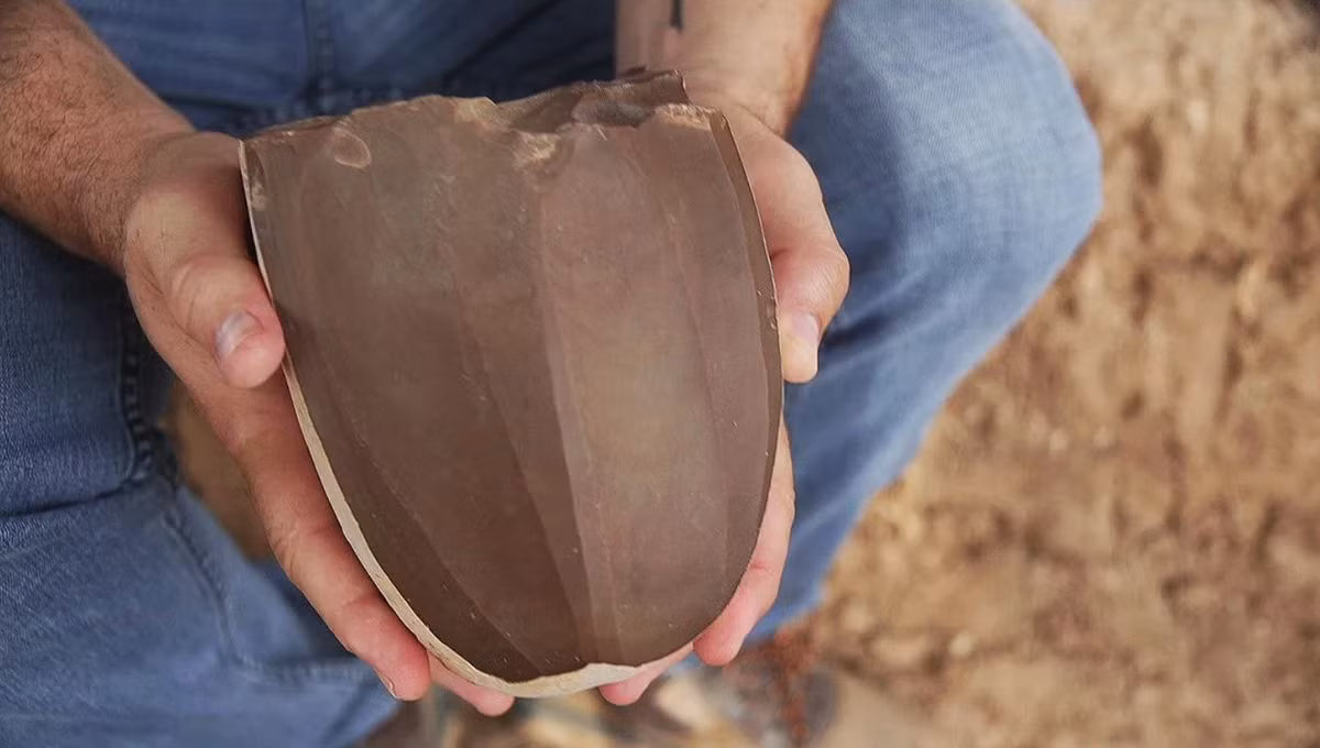 Phát hiện đặc biệt này mang đến cái nhìn hiếm hoi về nền tảng xã hội và công nghệ của đời sống đô thị sơ khai ở Israel cổ đại. Ảnh: @Cơ quan Cổ vật Israel (IAA).