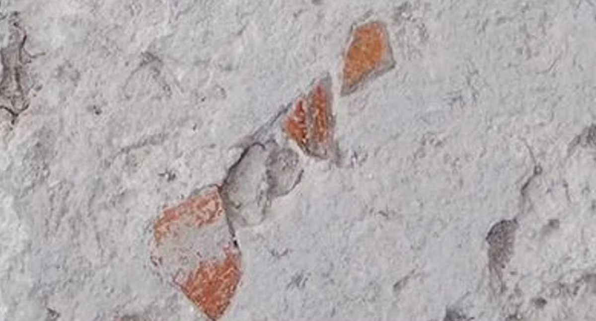 Nhiều mảnh vỡ làm từ các đồ gia dụng đã qua sử dụng, bao gồm các loại đồ gốm cổ. Ảnh: @Trung tâm Nghiên cứu Khoa học Quốc gia Pháp.