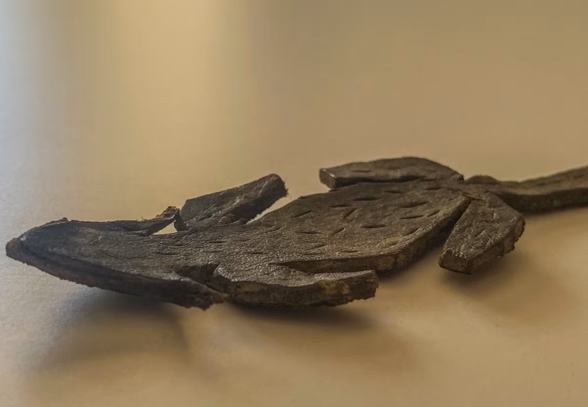 Điểm ấn tượng là trên mình con vật bằng da này có các vết rạch bằng mũi dao trên khắp cơ thể để minh họa phần lông và mắt con vật. Ảnh: @Bảo tàng Vindolanda.