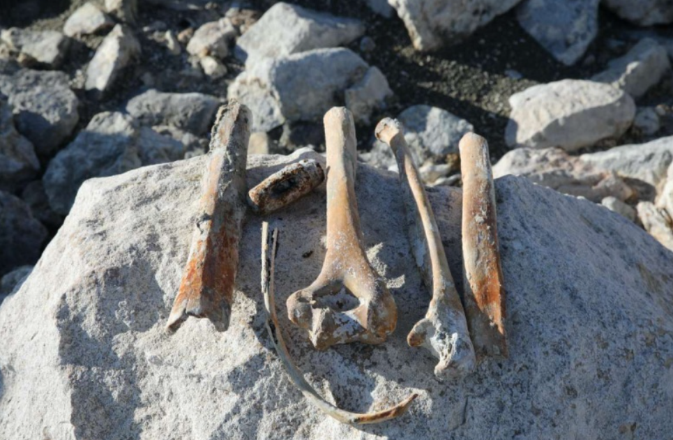 Hồ Van ẩn chứa rất nhiều bí mật. Những công trình kiến ​​trúc mới được phát hiện này chỉ là một trong số đó. Ảnh: @Đại học Van Yüzüncü Yıl.