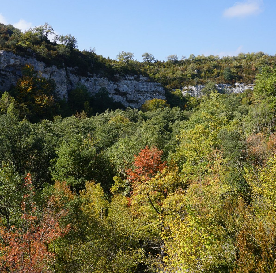 Khi tiến hành khai quật khảo cổ tại vùng Aranbaltza trên bờ biển xứ Basque (miền Bắc Tây Ban Nha), các chuyên gia đến từ Bảo tàng Quốc gia Tây Ban Nha bất ngờ tìm thấy khu vực sinh sống của người Neanderthal cổ xưa. Ảnh: @Bảo tàng Quốc gia Tây Ban Nha.