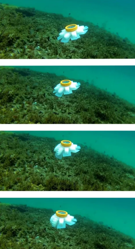 Robot có thể mang theo một cảm biến để ghi lại nhiệt độ đại dương. Dữ liệu mà nó thu thập được có thể giúp các nhà khoa học lập bản đồ về vị trí và thời điểm đại dương ấm lên do biến đổi khí hậu. Ảnh: @Erik Engeberg.