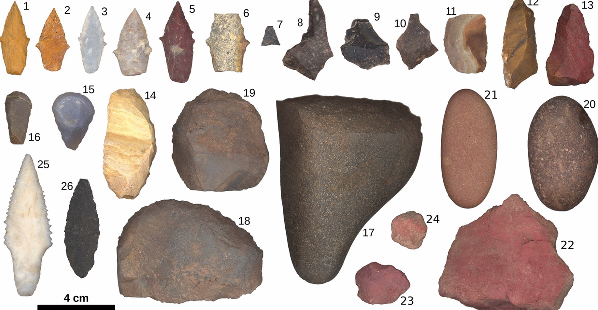 Chúng bao gồm một số đầu mũi tên bằng đá, dụng cụ phóng lao, những tảng đá lớn để đập vỡ xương và cạo da, và những tảng đá nhỏ có cạnh sắc để xẻ thịt. Ảnh: @Randall Haas.