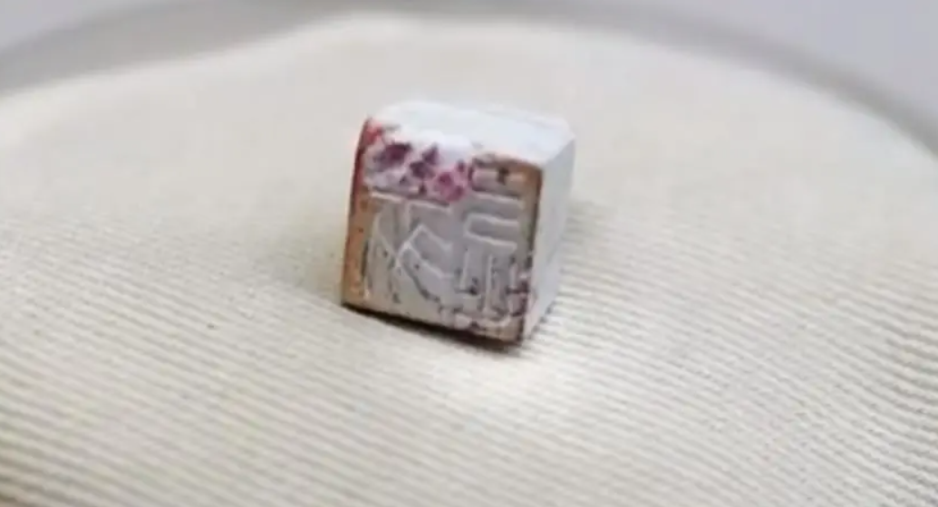 Điều đáng kinh ngạc hơn nữa là sự hiện diện của một con dấu ngọc bích trong miệng của thi thể người đàn ông này. Ảnh: @: Yunxu Jin Gu.