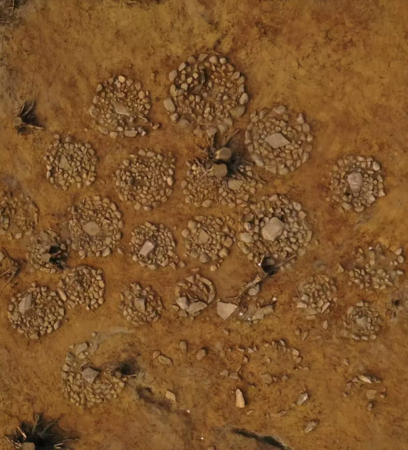 Mặc dù đã được hỏa táng, nhưng các chuyên gia vẫn có thể xác định được hài cốt là của trẻ sơ sinh, cho thấy phần lớn là trẻ sơ sinh, một số trong đó có thể chưa đủ tháng. Ảnh: @Guro Fossum / Museum of Cultural History.