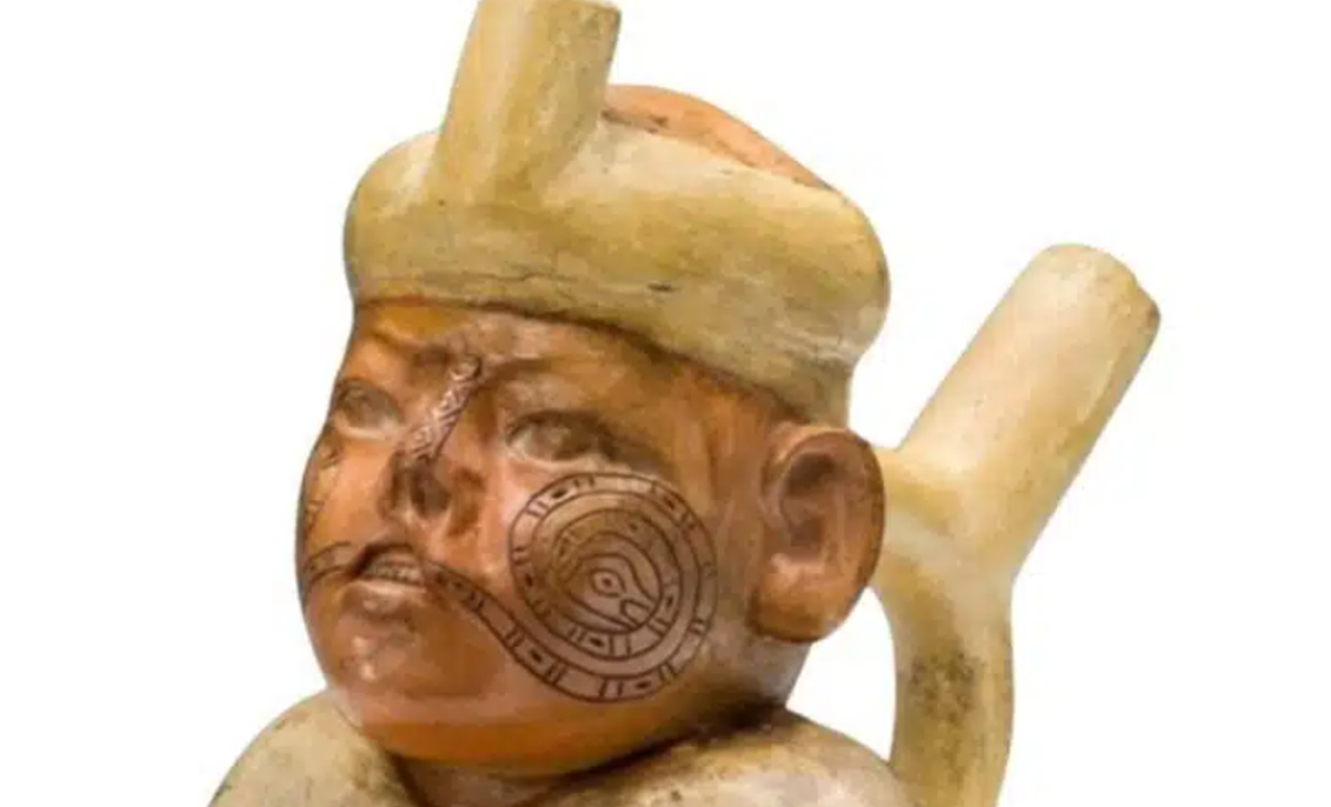 Kết quả cho thấy, cá thể này có những dấu hiệu rõ ràng của chứng sứt môi và hở hàm ếch, vốn là một dị tật xảy ra khi hàm trên và khoang mũi không kết nối hoàn toàn trong quá trình phát triển của bào thai. Ảnh: @Beth Scaffidi.