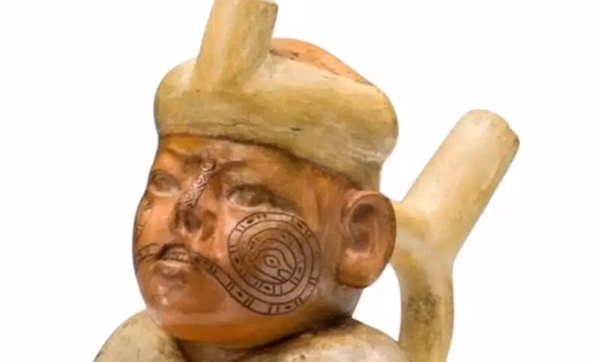 Kết quả cho thấy, cá thể này có những dấu hiệu rõ ràng của chứng sứt môi và hở hàm ếch, vốn là một dị tật xảy ra khi hàm trên và khoang mũi không kết nối hoàn toàn trong quá trình phát triển của bào thai. Ảnh: @Beth Scaffidi.