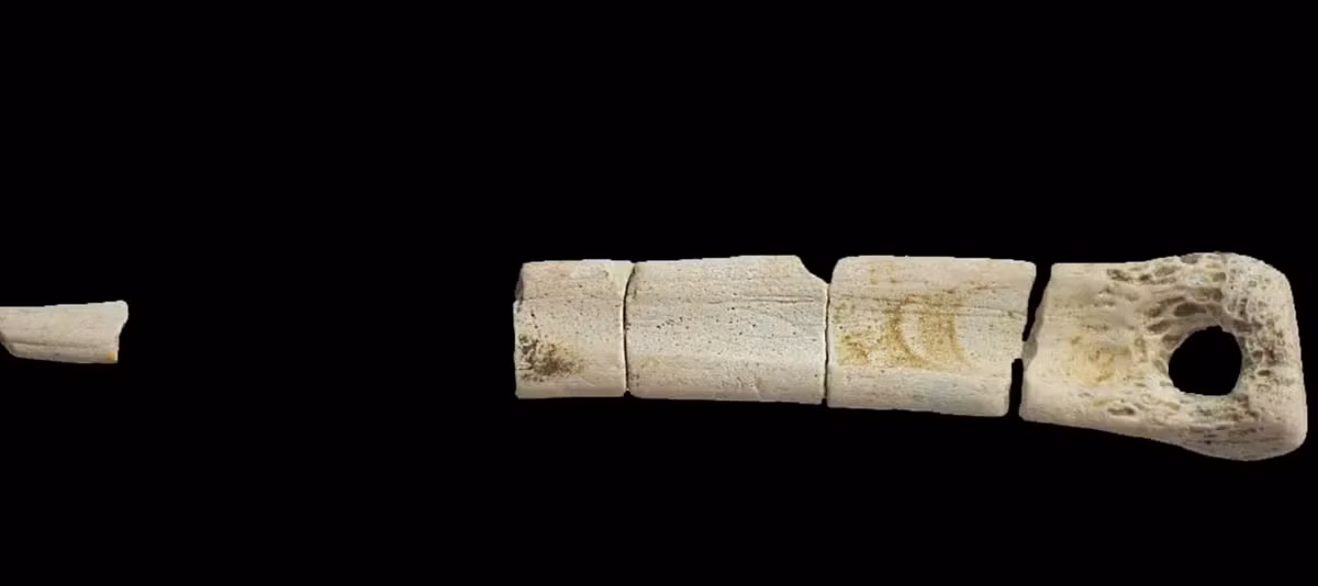 Có một lỗ đục ở một đầu của chiếc trâm cài cho thấy, nó được đeo bằng một sợi dây thừng và được đặt trong nơi chôn cất như một vật phẩm hỏa táng. Ảnh: @Viện khảo cổ học Cotswold.