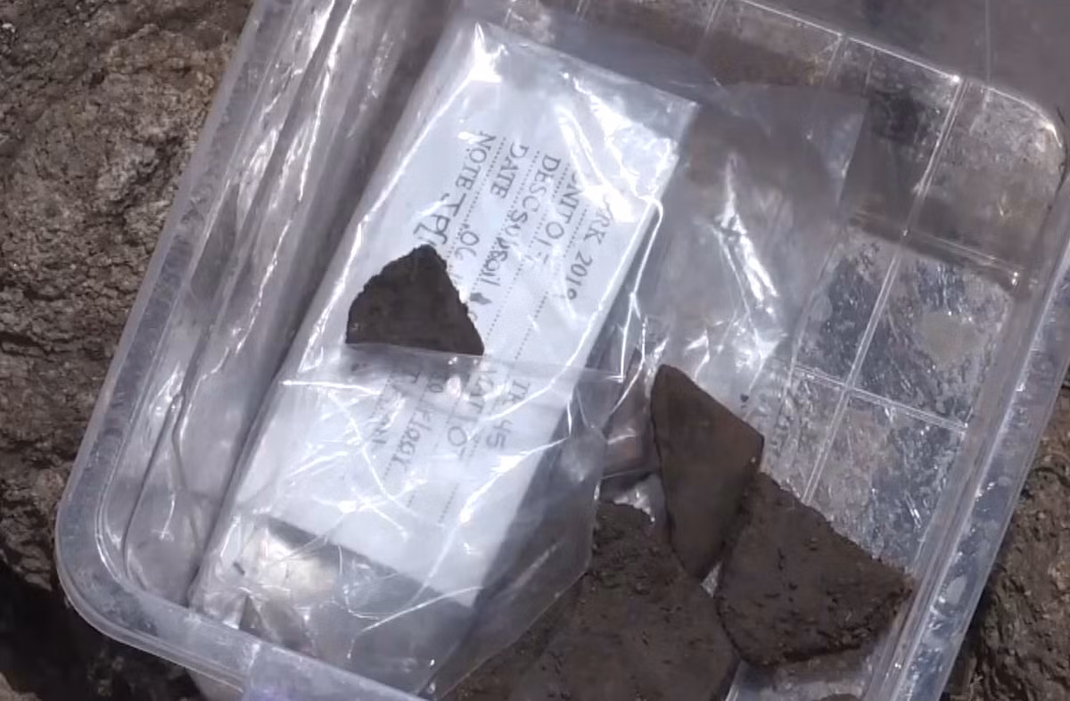 Ngoài ra, các chuyên gia còn tìm thấy tấm bảng xương động vật lớn khắc mô tả hình một con sói và một con chó nhà, một vật trang trí bằng ngà voi, đá mài, một số hạt cháy và đồ gốm nhà bếp. Ảnh: @Bảo Tàng Quốc Gia Thổ Nhĩ Kỳ.