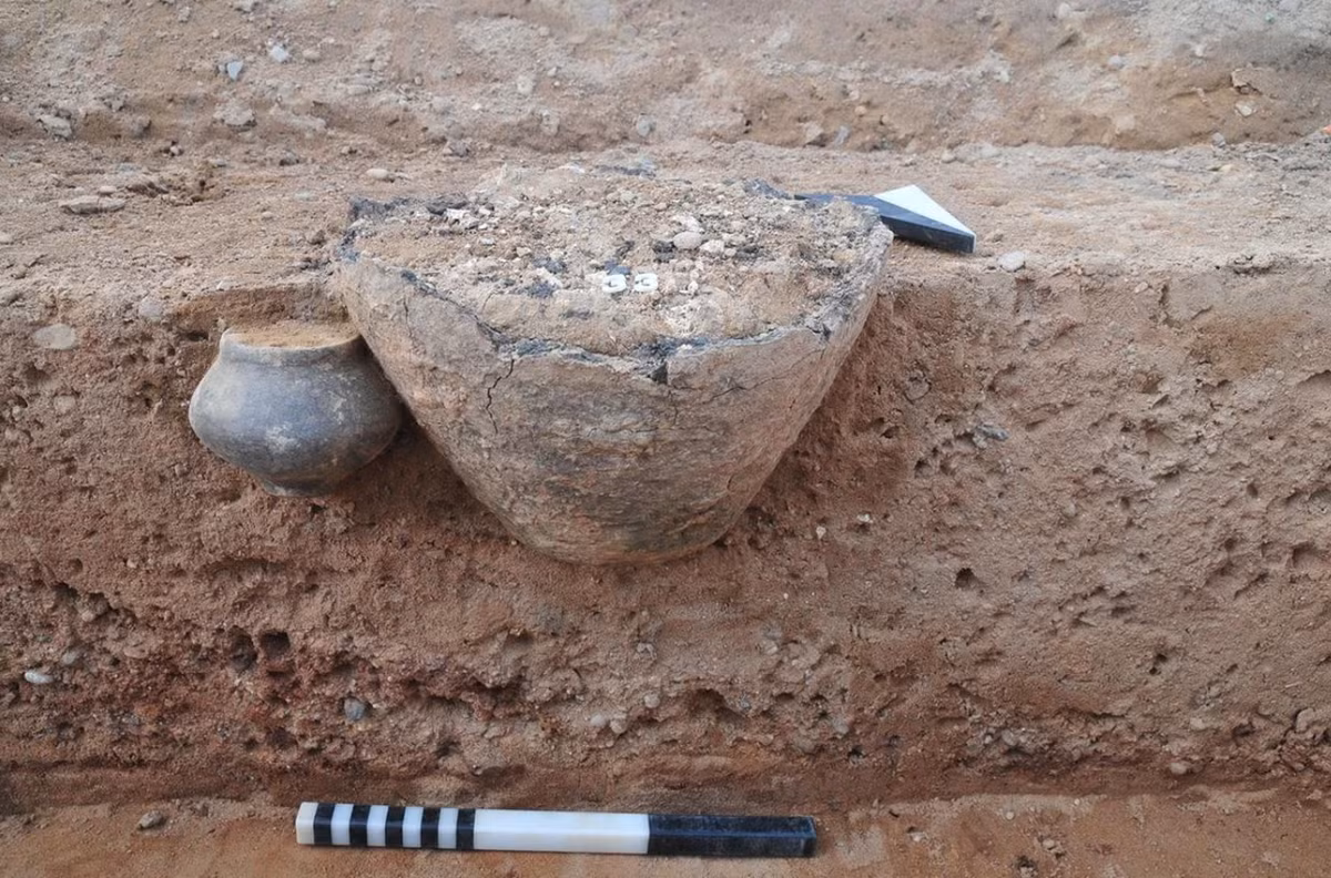 Họ còn tìm thấy những mảnh gốm vỡ nhưng cũng có cả nhẫn đồng, dùi xương và hài cốt động vật như bò, lợn, cừu hoặc dê - bằng chứng rõ ràng về sự cư trú lâu dài của con người tại nơi đây. Ảnh: @Văn phòng Quản lý Di sản và Khảo cổ học bang Saxony-Anhalt.