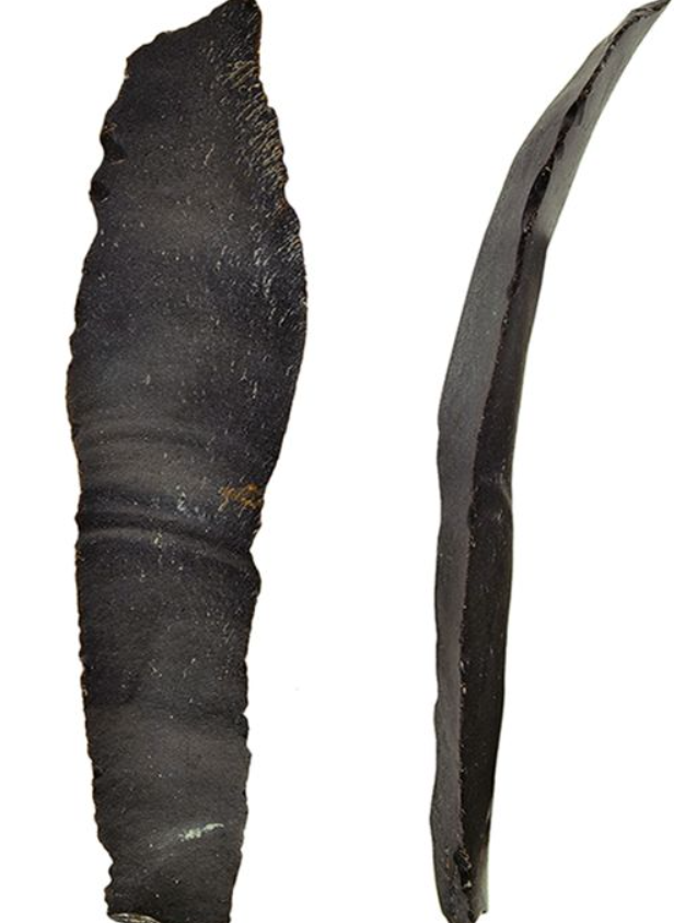 Phát hiện này đã chỉ ra rằng, con người cổ xưa từng có "ý thức nông nghiệp" chỉnh chu và đã trồng trọt ngũ cốc trước cách đây khoảng 23.000 năm trước. Ảnh: @Cơ quan Cổ vật Israel.