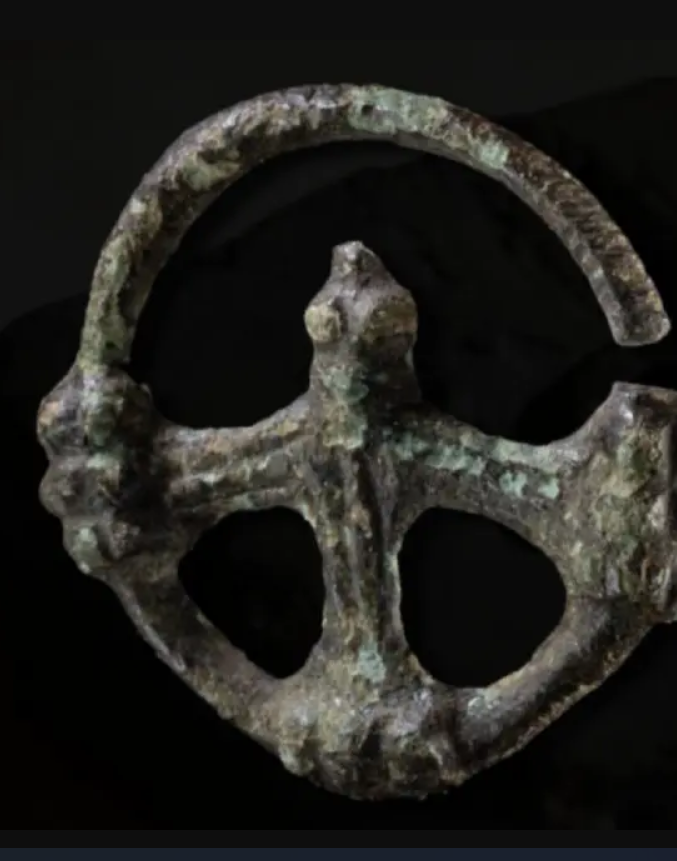 Sau đó, quá trình làm sạch hé lộ một hình dạng chính xác. Ảnh: @Văn phòng Bảo tồn Di tích và Bảo tàng Khảo cổ học bang Brandenburg (BLDAM).