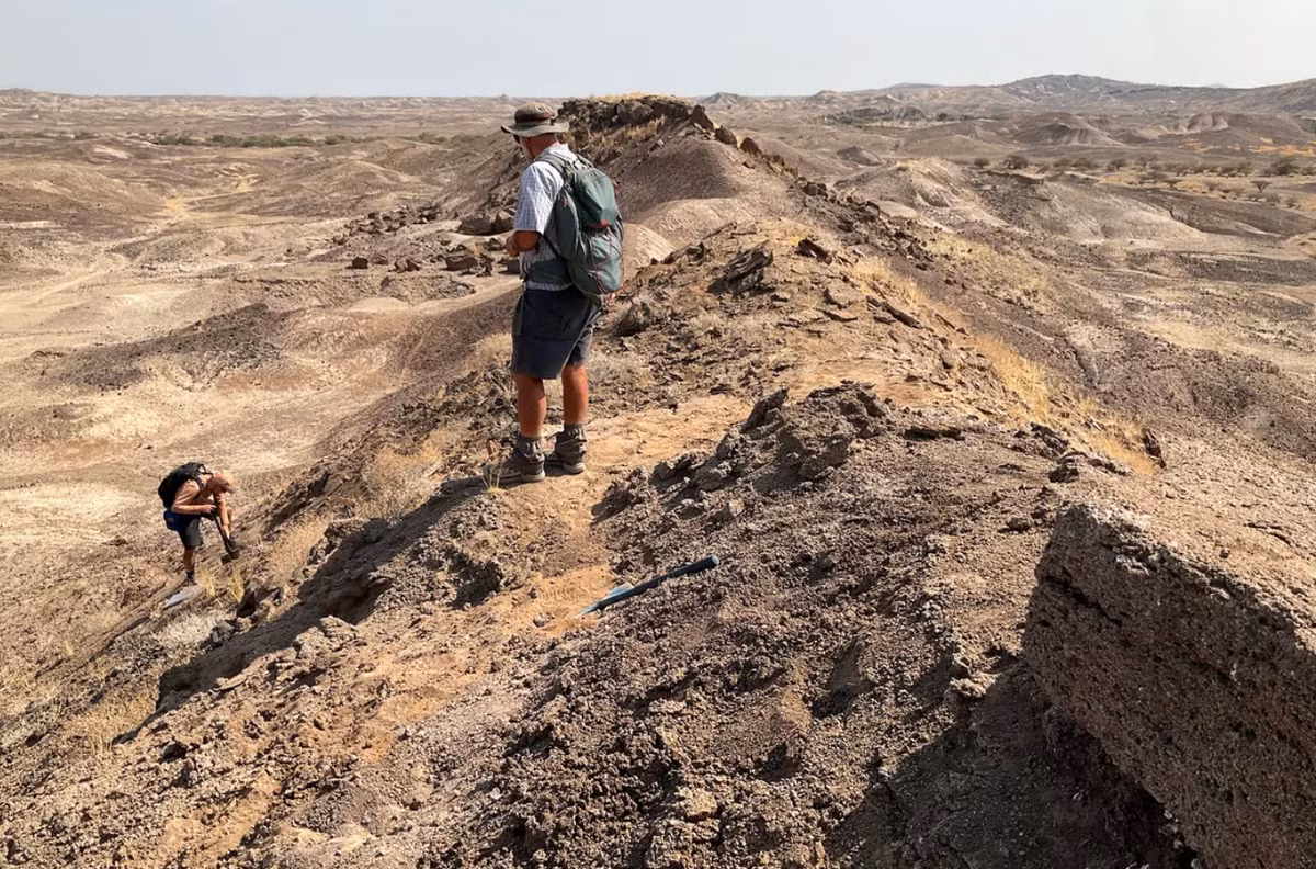 Khi tiến hành khai quật tại địa điểm khảo cổ Ledi-Geraru, nhóm chuyên gia đã tìm ra một sự thật cổ xưa hết sức phi thường, ngoạn mục. Ảnh: @Tiến sĩ Kaye Reed.
