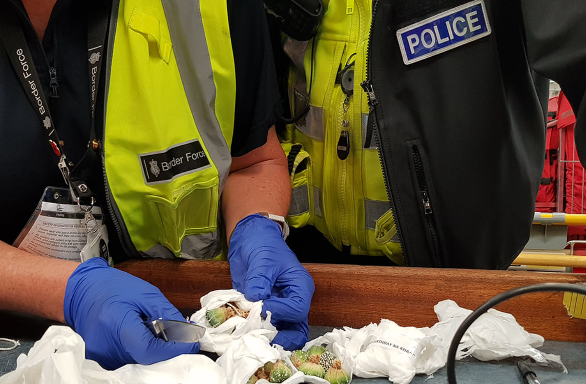 Còn Tổng thư ký WCO, cho biết: “Tội phạm môi trường có tính hủy diệt đặc biệt, và INTERPOL hợp tác với các đối tác, cam kết bảo vệ hành tinh của chúng ta cho các thế hệ tương lai”. Ảnh: @interpol.