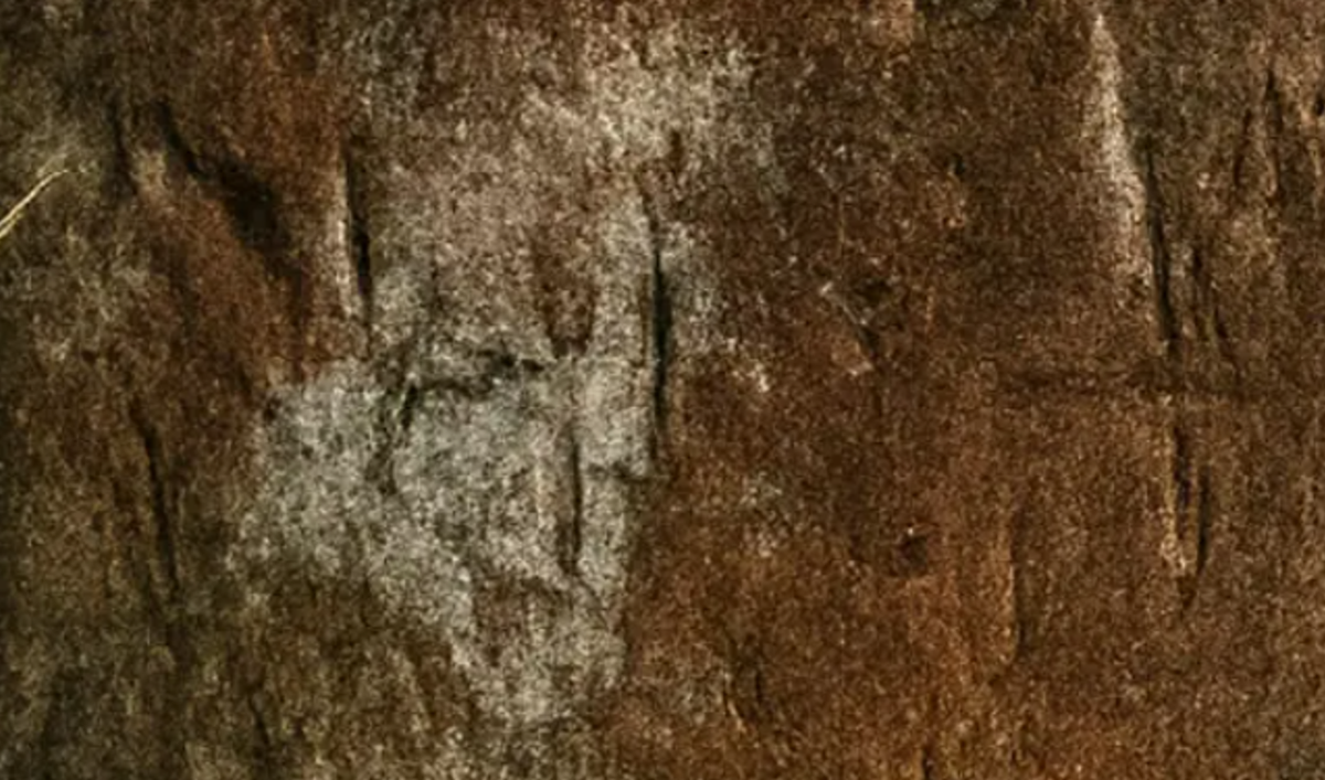Theo các chuyên gia, những dấu hiệu này giống với các hình khắc trên đá có niên đại 2.000 năm được các kiểm lâm xác định vào tháng 8 năm 2025 tại Hang Ta Kueng, cũng nằm trong Khu bảo tồn động vật hoang dã Phu Khat. Ảnh: @Khu bảo tồn động vật hoang dã Phu Khat.
