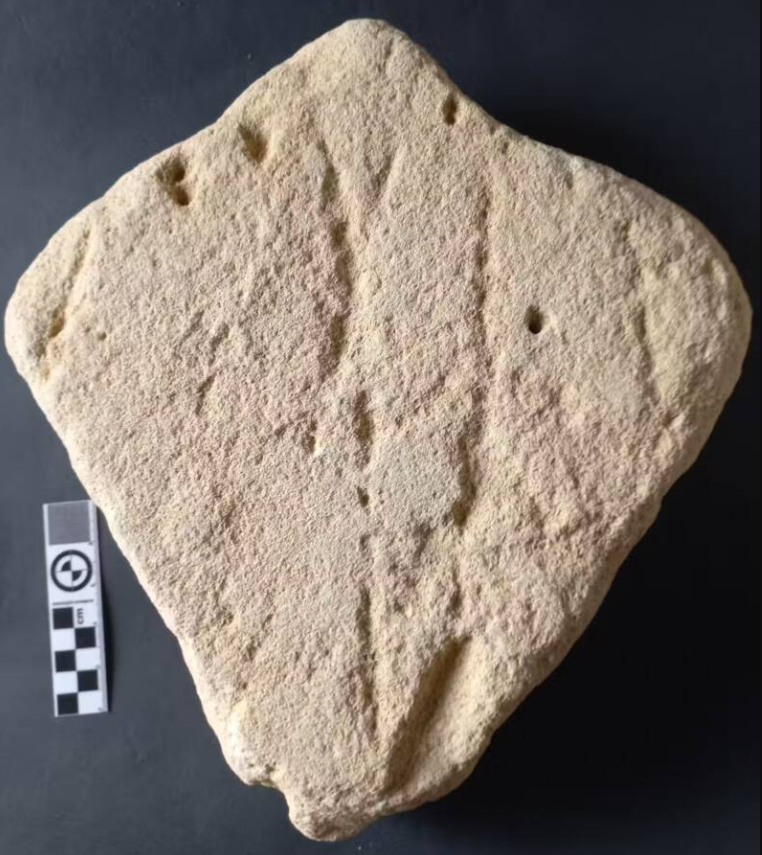 Bên cạnh đó, nhóm nghiên cứu cũng đưa ra giả thuyết rằng, tác phẩm điêu khắc này có thể được tạo ra bằng cách theo dõi xung quanh một mẫu cá đuối gai độc được tìm thấy dọc theo bờ biển. Ảnh: @Helm.