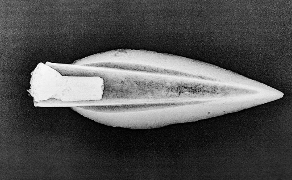 Merete Moe Henriksen nhấn mạnh rằng, còn quá sớm để nói bất cứ điều gì về lý do chôn giấu những chiếc rìu và các công cụ khác cổ xưa này. Ảnh: @Bảo tàng Đại học Khoa học và Công nghệ Na Uy.