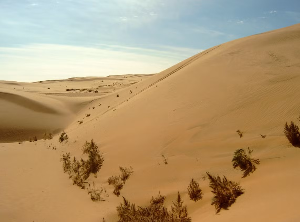 Còn giáo sư Mototaka Saneyoshi của Đại học Khoa học Okayama cho biết: "Việc tìm thấy một hóa thạch nhỏ như vậy trong sa mạc Gobi rộng lớn giống như một món quà từ sa mạc Gobi vậy. Thật là kỳ diệu". Ảnh: @Tsukasa Okoshi.