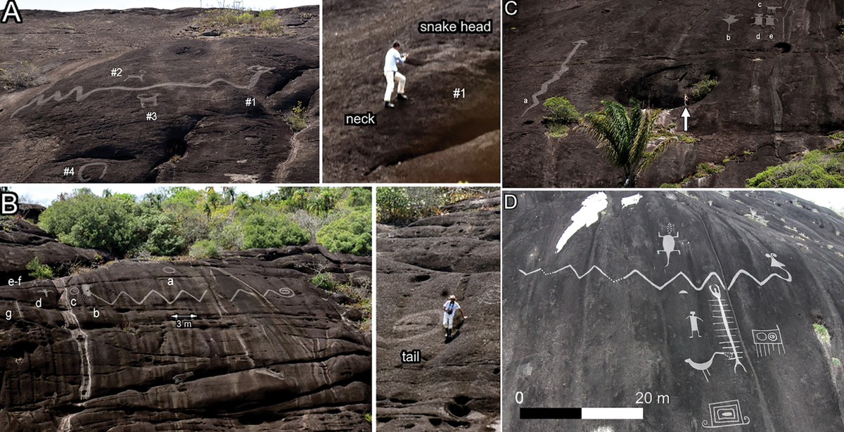 Một số hình khắc còn dài hàng chục mét, trong đó hình lớn nhất dài hơn 40 mét. Ảnh: @ Juanita Escobar.