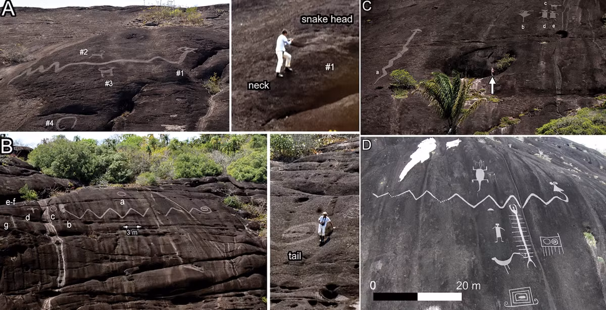 Một số hình khắc còn dài hàng chục mét, trong đó hình lớn nhất dài hơn 40 mét. Ảnh: @ Juanita Escobar.