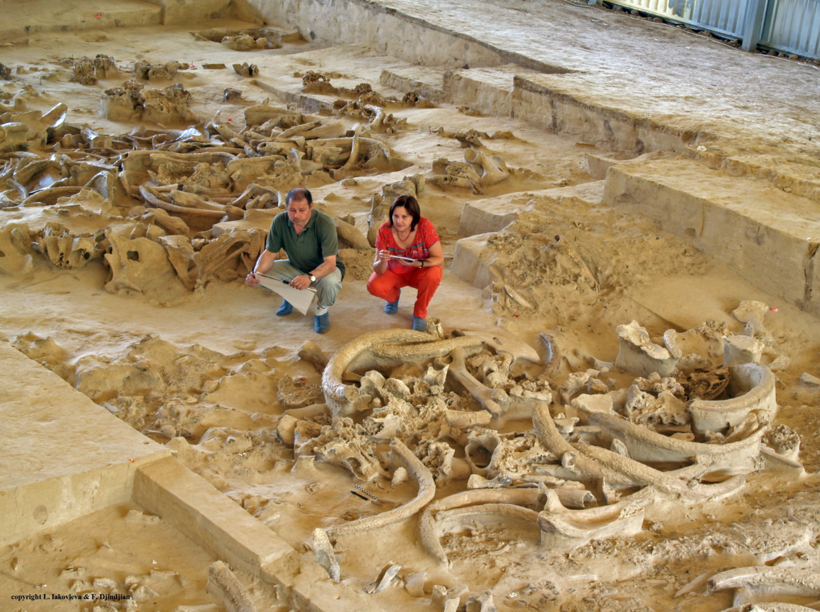 Tuy nhiên, một cuộc khai quật gần đây tại địa điểm này đã vượt quá mọi sự mong đợi của nhiều người. Ảnh: @Viện Hàn lâm Khoa học Áo.