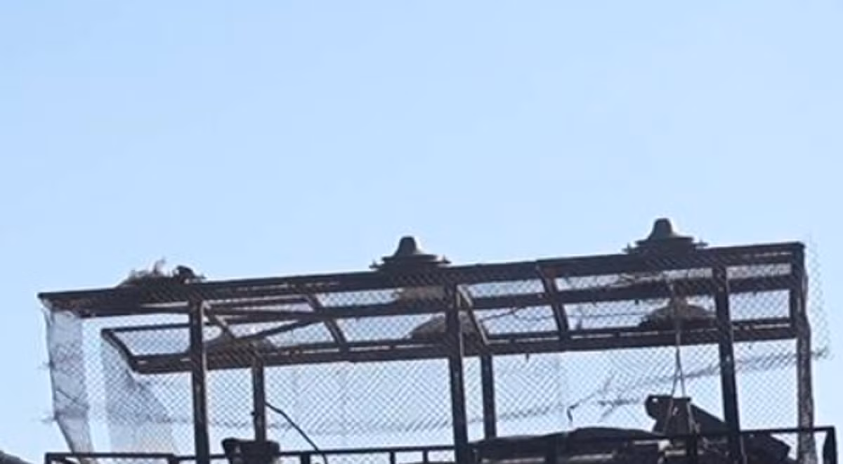 Bằng cách đặt ăng-ten gây nhiễu trực tiếp trên các khẩu đội pháo tự hành, lực lượng Nga tìm cách can thiệp vào hệ thống dẫn đường của máy bay không người lái, rồi ngăn cản người vận hành UAV từ Ukraine dẫn đường đạn chính xác đến mục tiêu. Ảnh: @defence-blog.