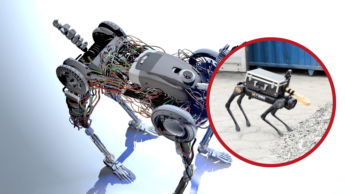 Trước bối cảnh này, mới đây, một chú chó robot đã được đưa vào sử dụng tại Trung Quốc để tự động hóa các nhiệm vụ phát hiện bức xạ tại các cảng hàng hóa. Ảnh: @Devrimb.