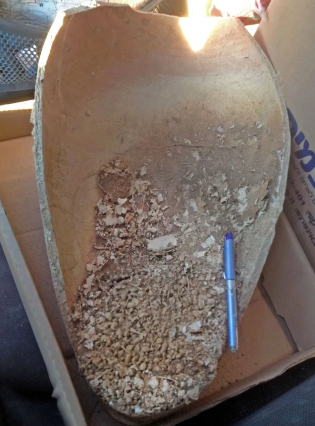 Ước tính, ngôi mộ và những hiện vật này được chôn cất trong thời kỳ Canaanite (Thời đại đồ đồng giữa). Ảnh: @Cơ quan Cổ vật Israel.