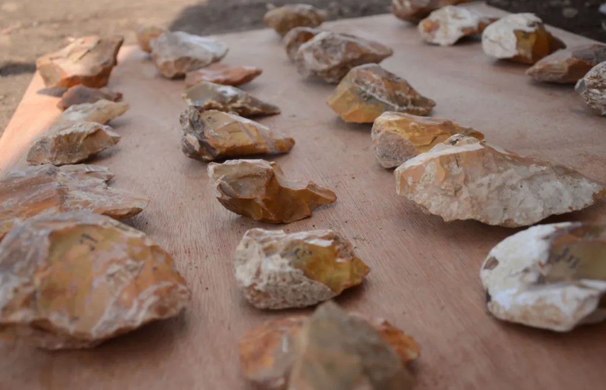 Khi đào xuống độ sâu 5 mét, các nhà khảo cổ đã phát hiện ra từng lớp công cụ và xương động vật. Ảnh: @Đại học Tel Aviv.