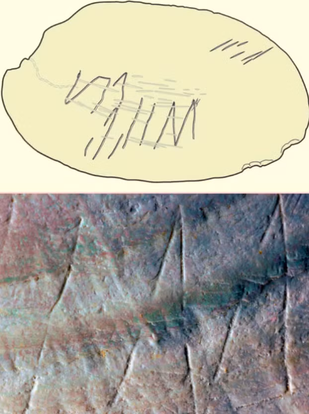 Hiện tại, nhóm khảo cổ học vẫn không biết gì về ý nghĩa hoặc mục đích thực sự của bản khắc này. Ảnh: @Universiteit Leiden.