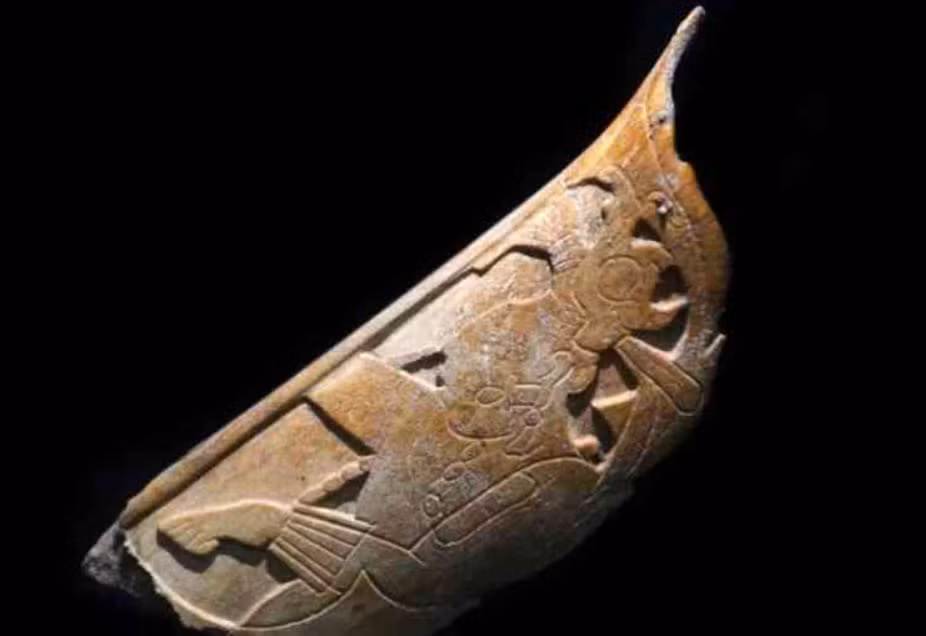 Đó là một trang sức của người Maya ở Mexico. Thực chất, món trang sức này là một phụ kiện mũi đặc biệt. Ảnh: @Viện Nhân chủng học và Lịch sử Quốc gia Mexico.