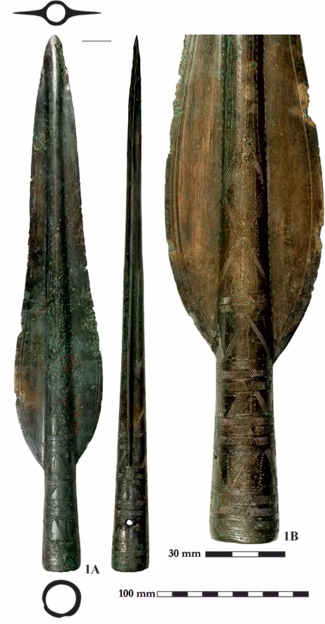 Ngoài các hiện vật bằng kim loại, nhóm còn tìm thấy các hạt hổ phách, tàn tích vải và da, răng lợn rừng và lợn nhà. Ảnh: @Bảo tàng Quốc gia Hungary.