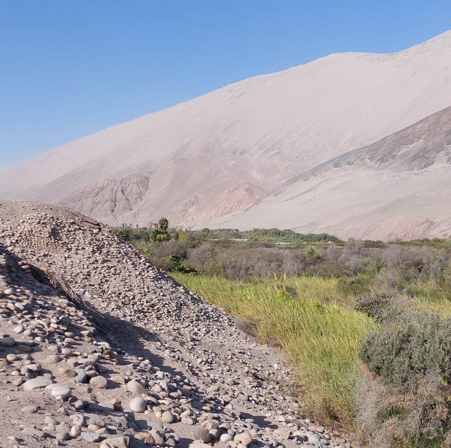 Tại Tambo Viejo, các chuyên gia đến từ trường Đại học Calgary bất ngờ tìm thấy quần thể di tích cổ xưa kỳ lạ. Ảnh: @Đại học Calgary.