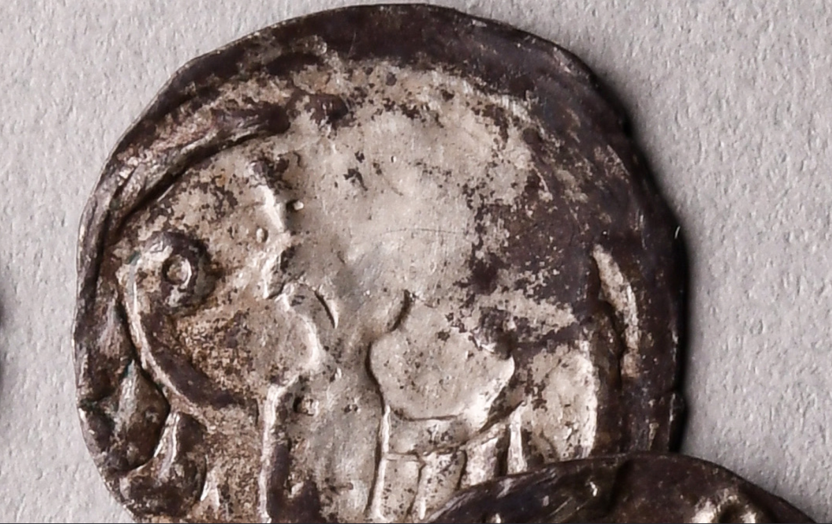 Tiến sĩ Christoph Rauhut, Giám đốc Văn phòng Bảo tồn Di tích Lịch sử bang Berlin, kiêm người phụ trách bảo tồn quốc gia cho biết: “Những đồng xu bạc này được đúc bởi hai vị Hầu tước cùng cai trị Brandenburg-Salzwedel là Otto IV và Otto V (năm 1.260-1.293 Sau Công Nguyên)”. Ảnh: @Văn phòng Bảo tồn Di tích Lịch sử bang Berlin.