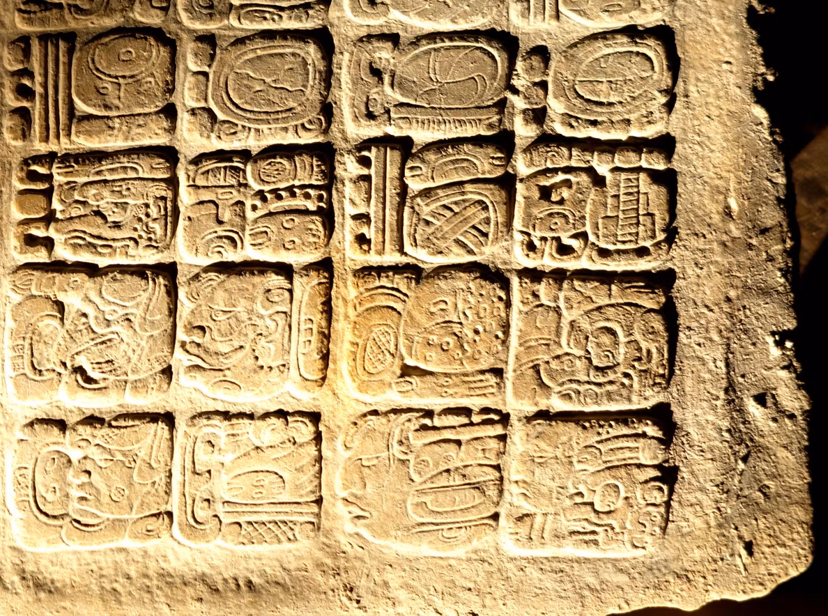 Chuyên gia Stuart (thuộc Cơ quan Khảo cổ học Khu vực La Corona), người cũng đã giải mã tấm bia tượng hình này, nhận định: “Những chữ tượng hình tuyệt đẹp mang đến cho chúng ta những hiểu biết sâu sắc về các nghi lễ liên quan đến việc một vị vua mới lên ngôi”. Ảnh: @Cơ quan Khảo cổ học Khu vực La Corona.