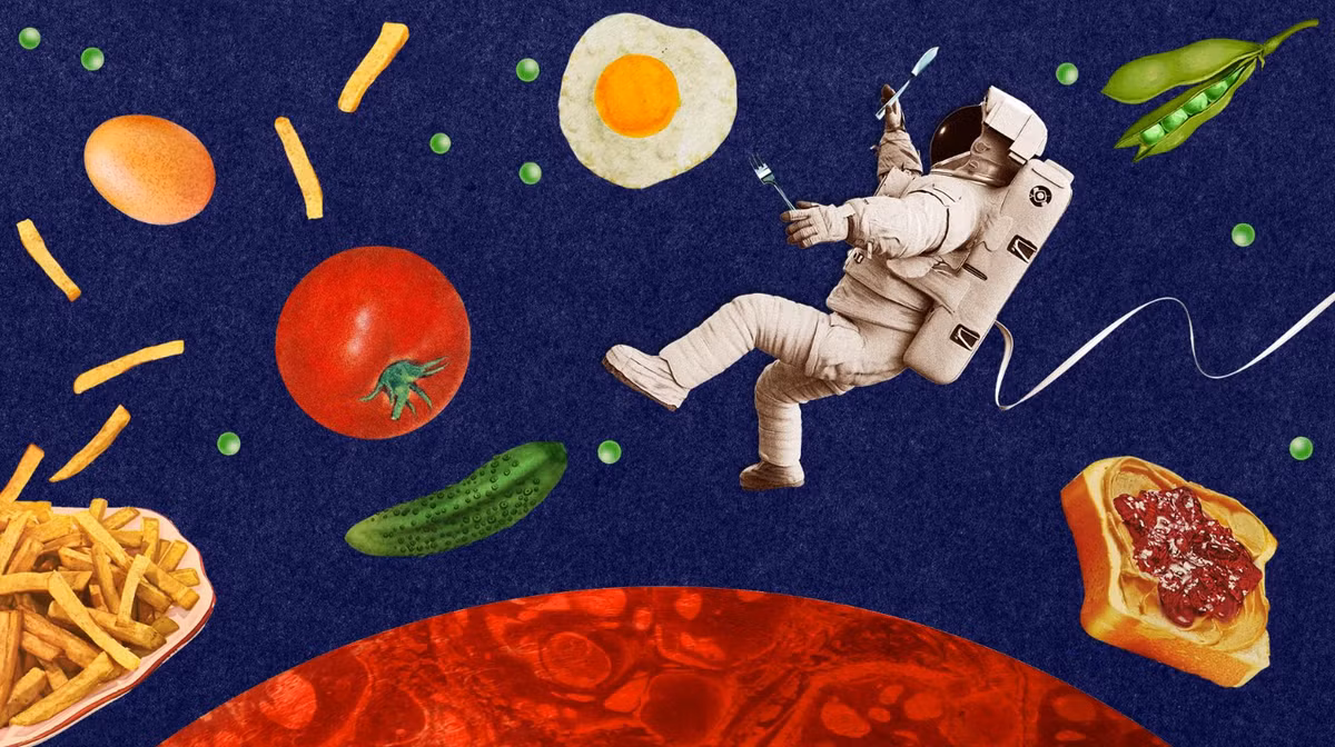 Bạn sẽ không thể gọi đồ ăn ship mang đến trên sao Hỏa, vì vậy, việc đóng gói đủ thức ăn và nước cho chuyến đi của bạn là điều cần thiết. Thực phẩm không gian đã phát triển, với nhiều lựa chọn đông khô và hút chân không bổ dưỡng và nhẹ. Mặt khác, nước rất nặng để vận chuyển, vì vậy bạn sẽ cần phải mang theo càng nhiều càng tốt, hoặc lên kế hoạch chiết xuất nước từ đất sao Hỏa, bằng các công nghệ chiết xuất tích hợp thiết bị khoan băng của NASA. Ảnh: @UBC Magazine.