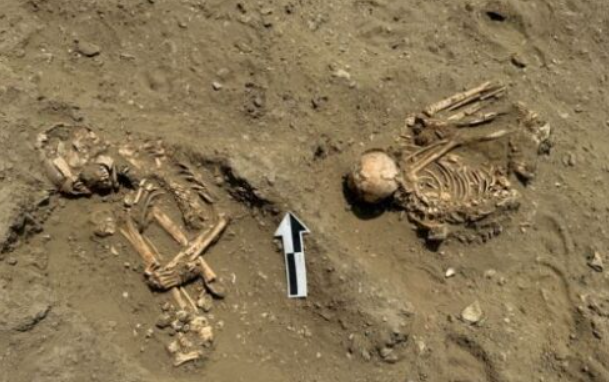 Việc phát hiện hài cốt người đã làm tăng thêm ý nghĩa thú vị cho địa điểm này. Ba bộ xương người trưởng thành được tìm thấy giữa các bức tường, cho thấy chúng có thể là một phần của các nghi lễ trong đền thờ. Ảnh: @Dự án Khảo cổ Cảnh quan Văn hóa Ucupe.