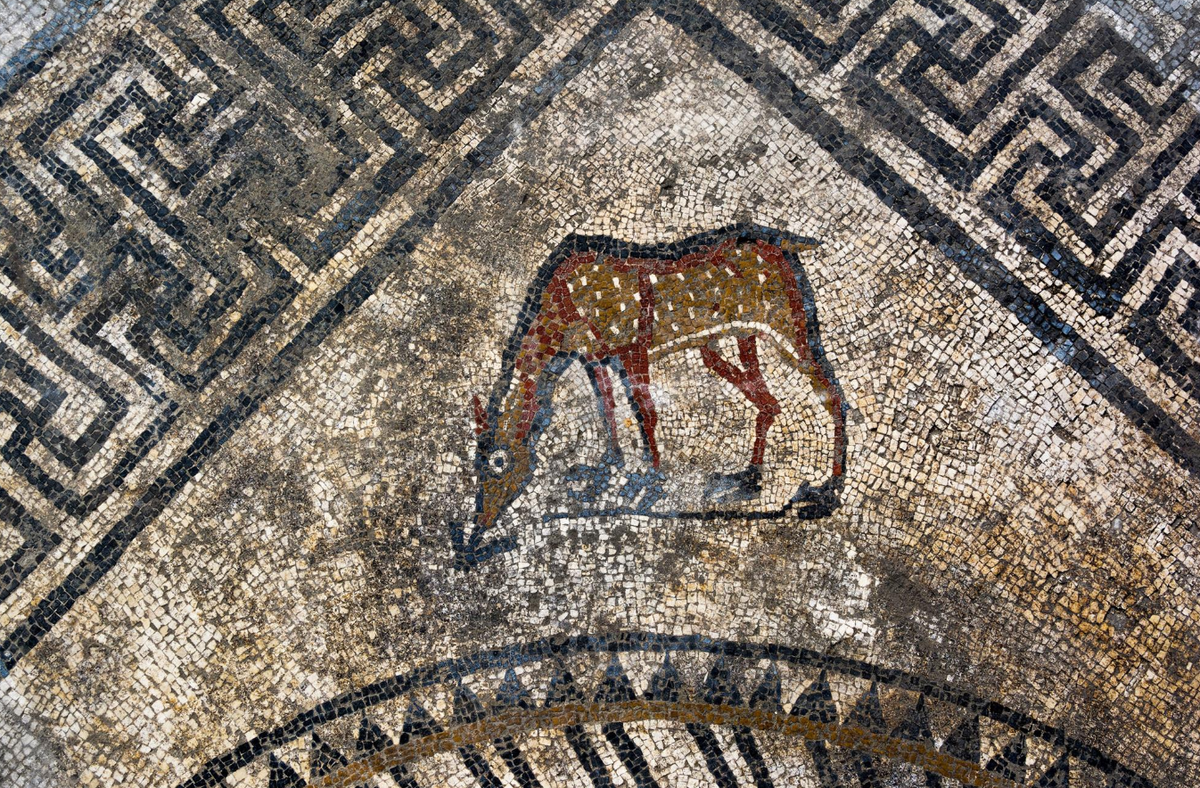 Một số bình đựng rượu bằng gốm khổng lồ cũng được tìm thấy, cho thấy cư dân ở đây có thể đã uống rượu tự sản xuất tại chỗ. Ảnh: @Viện Nghiên cứu Khảo cổ học Quốc gia Pháp.