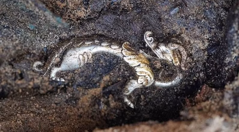 Hai tượng con rồng với sừng, mắt, răng và lông vũ được chạm khắc một cách rất thẩm mỹ và tỉ mỉ, tinh tế, độc đáo. Ảnh: @Tiến sĩ Lan Wanli.