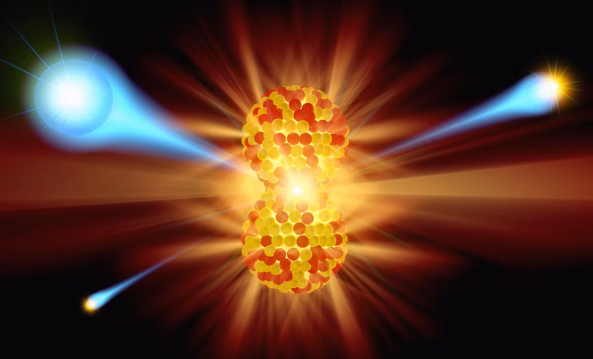 Các cơ quan y tế toàn cầu đã cảnh báo rằng, nếu một vài tế bào bị tổn thương do bức xạ mà chết đi, cơ thể bạn sẽ phục hồi và bạn sẽ không có nguy cơ những tế bào đó biến thành tế bào ung thư. Tuy nhiên, tình trạng tế bào chết lan rộng, do tiếp xúc với liều lượng bức xạ cao, có thể dẫn đến suy nội tạng và cuối cùng là tử vong. Ảnh: @ThoughtCo.