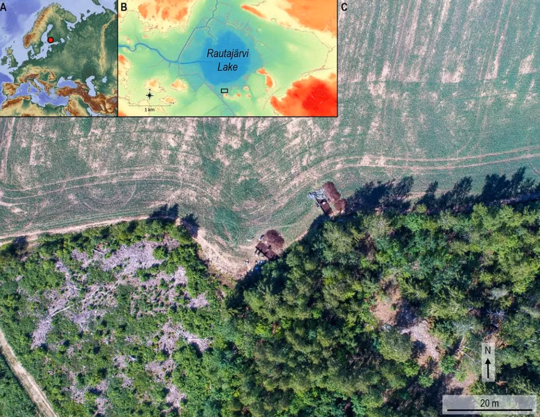 Trong quá trình khai quật tại địa điểm tiền sử Järvensuo 1 - một môi trường đất ngập nước cổ đại trên bờ Hồ Rautajarvi ở phía tây nam Phần Lan, các nhà khảo cổ học đến từ Đại học Turku, hợp tác với Cơ quan Di sản Phần Lan và các nhà nghiên cứu đến từ Đại học Helsinki đã phát hiện ra một vật thể hình thù kỳ lạ, rùng mình. Ảnh: @Cơ quan Di sản Phần Lan.