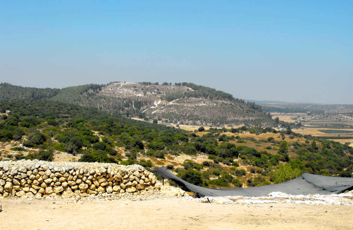 Việc tìm thấy vật thể này bổ sung thêm vào danh sách dài các bằng chứng chứng minh mối quan hệ văn hóa mật thiết giữa người Canaan và Ai Cập trong Thời Kỳ Đồ Đồng. Ảnh: @Cơ Quan Cổ Vật Israel.