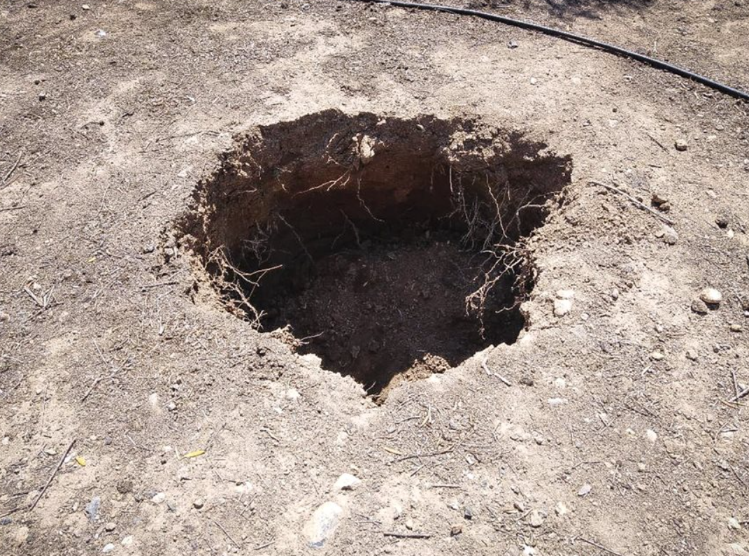 Mới đây, gần thị trấn Ierapetra, phía đông đảo Crete, khi một người nông dân đang đỗ xe trong vườn ô liu của mình thì mặt đất dưới bánh xe sụt xuống. Ảnh: @Bộ Văn hóa Hy Lạp.