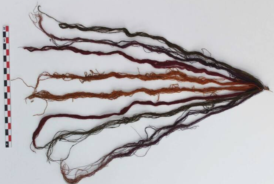 Thi thể của chúng được trang trí bằng những sợi dây đầy màu sắc và ước tính chúng đã được chôn cất trong khoảng thời gian từ năm 1.432 đến năm 1.459 Sau Công Nguyên. Ảnh: @Đại học Calgary.