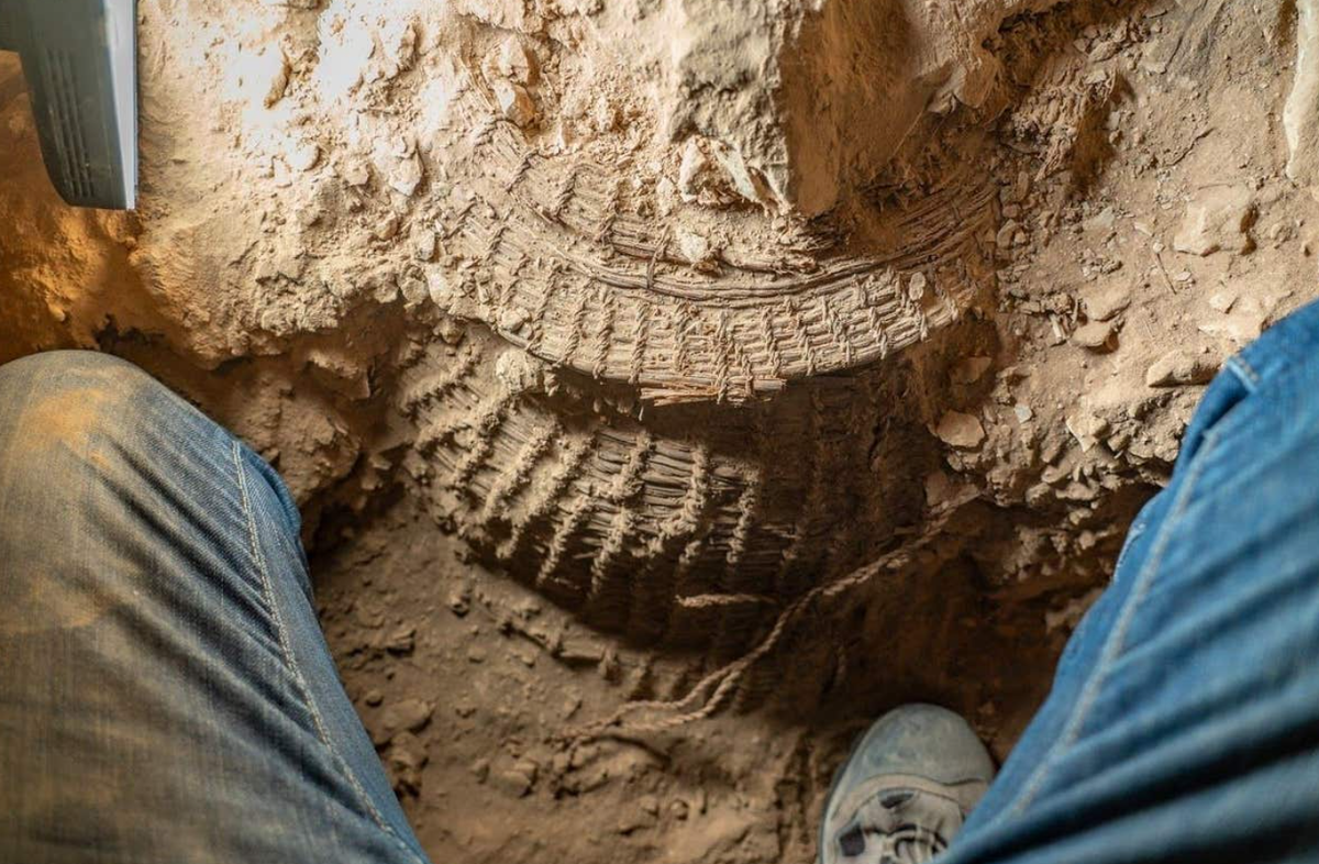 Hiện tại, các chuyên gia vẫn chưa biết chiếc giỏ từng được sử dụng để chứa những gì. Ảnh: @Cơ quan Cổ vật Israel.