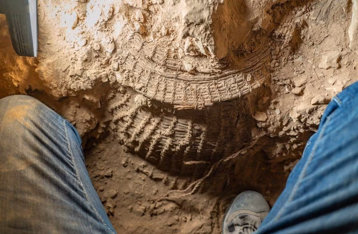 Hiện tại, các chuyên gia vẫn chưa biết chiếc giỏ từng được sử dụng để chứa những gì. Ảnh: @Cơ quan Cổ vật Israel.