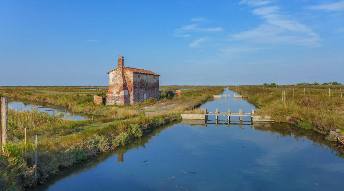 Trong quá trình khai quật tại đầm lầy ở Lio Piccolo- một ngôi làng nằm ngay phía bắc thành phố Venice của Ý, các chuyên gia đến từ trường Đại học Ca' Foscari bất ngờ tìm thấy một hiện vật cổ xưa độc lạ, bí ẩn. Ảnh: @Đại học Ca' Foscari.