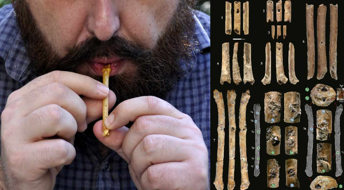 Các nhà khảo cổ học đặc biệt chú ý đến kích thước của các dụng cụ độc đáo này. Ảnh: @Dr. Laurent Davin.