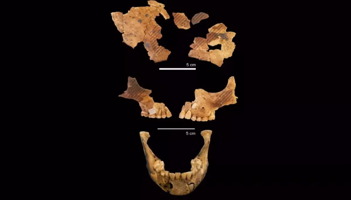 Sofia Samper Carro mô tả, các kỹ thuật thăm dò, phân tích khảo cổ công nghệ cao cho thấy, sắc tố màu đất son được bôi lên má và trán đứa trẻ. Ảnh: @Đại học Quốc gia Úc.
