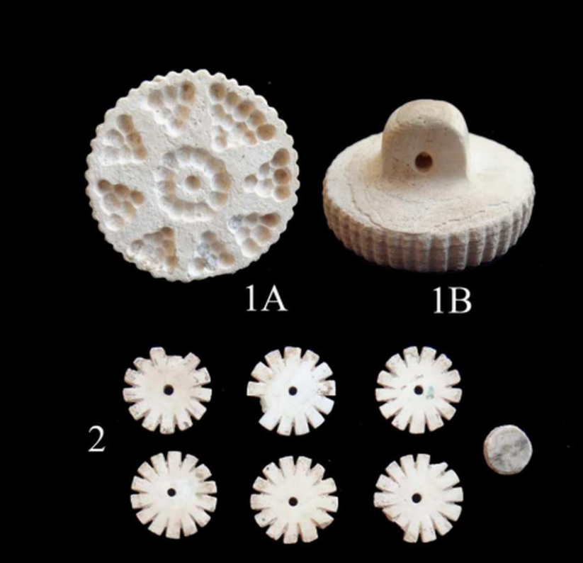 Không giống như những ngôi mộ khác trong khu vực, nó được trang bị đồ tùy táng đặc biệt đầy đủ, bao gồm tổng cộng 34 hiện vật. Ảnh: @Raffaele Biscone.